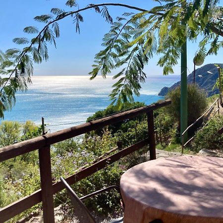Villa Pietrafiore Monterosso al Mare Exterior foto