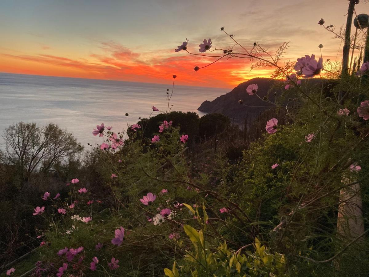 Villa Pietrafiore Monterosso al Mare Exterior foto
