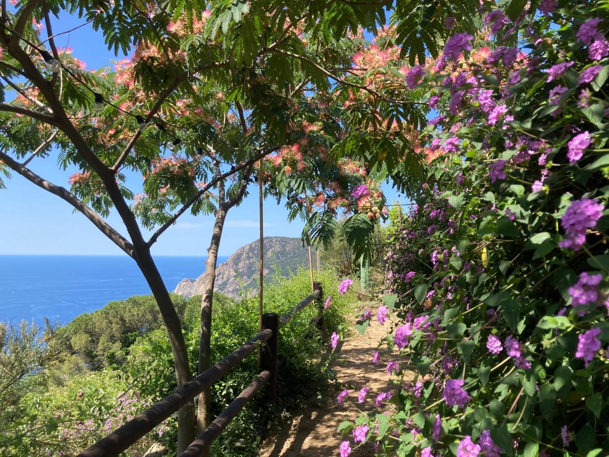 Villa Pietrafiore Monterosso al Mare Exterior foto