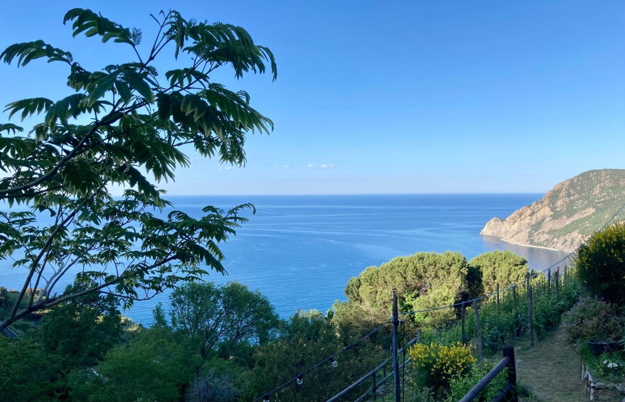 Villa Pietrafiore Monterosso al Mare Exterior foto