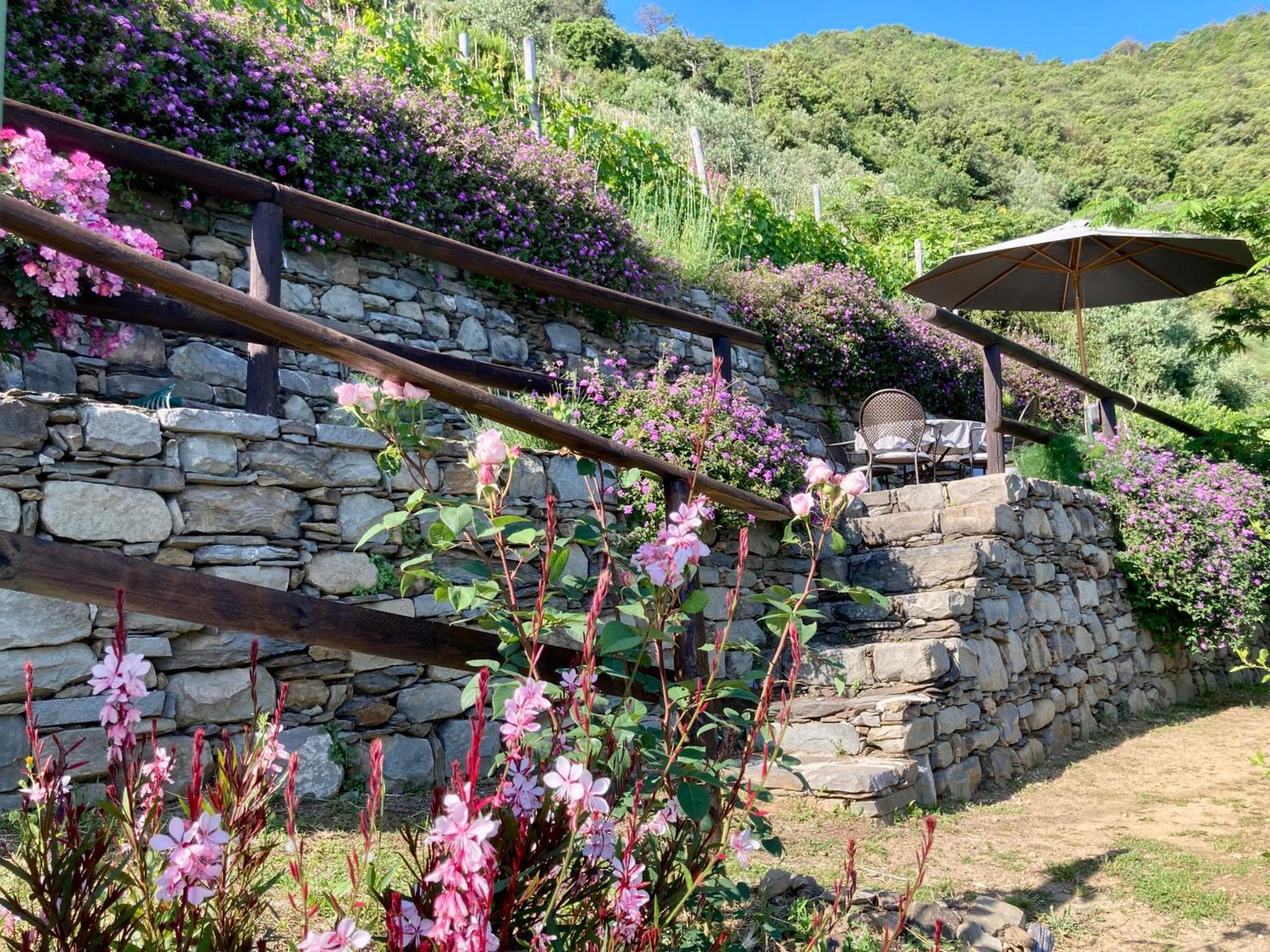 Villa Pietrafiore Monterosso al Mare Exterior foto